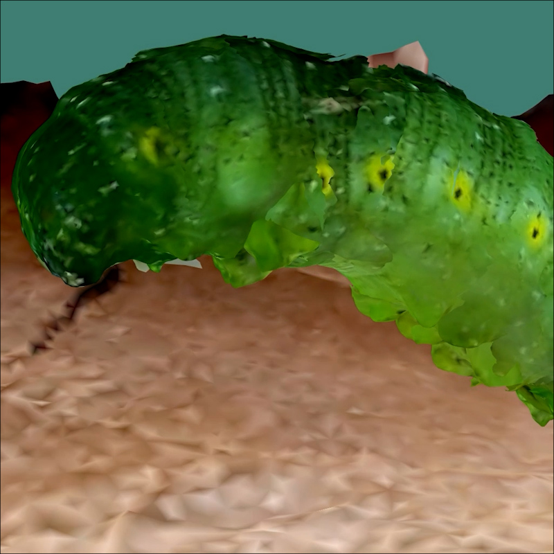 CATERPILLAR091924 CATERPILLAR091924