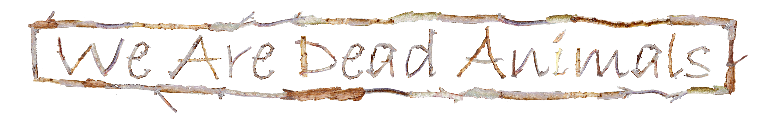 WADA_TITLE_transparent